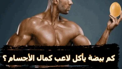 كم بيضة في اليوم